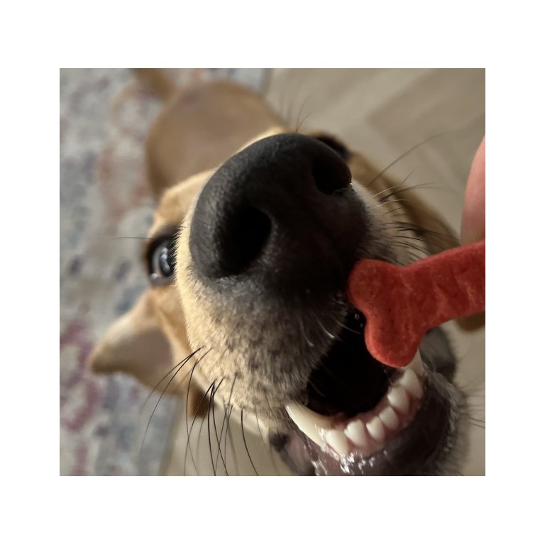 dolci impronte jutalomfalat - Happy Birthday kutyakeksz