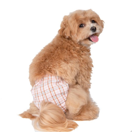 Pinkaholic dog panties...