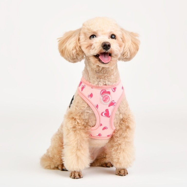 Pinkaholic kutyahám - Loveday - rózsaszín,szívecskés