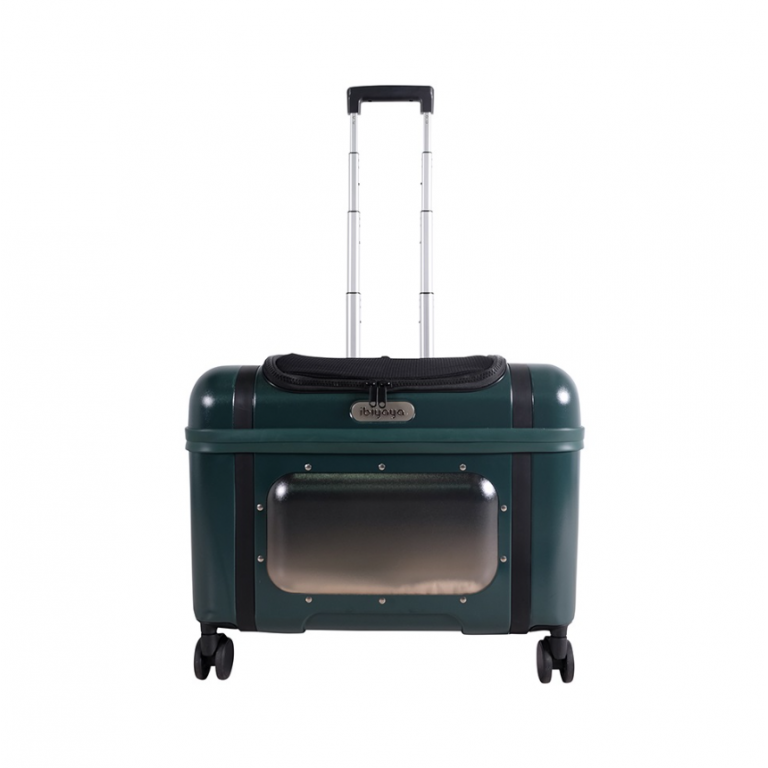 Innopet Lavada kisállat utazó bőrönd,zöld